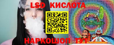 индика Ставрополь