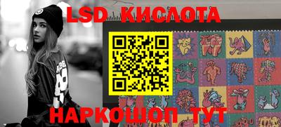индика Ставрополь