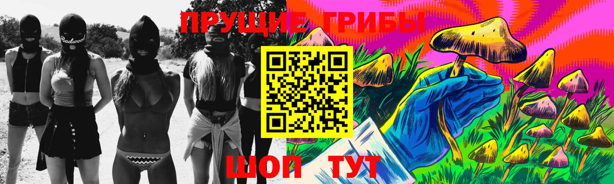 Псилоцибиновые грибы Psilocybe Новый Уренгой